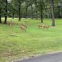 Photo of Pinnacle Golf Club