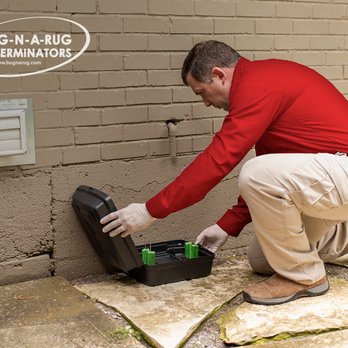 Bug-N-A-Rug Exterminators - Wilmington - Pest Control Near Me - Wilmington, North Carolina Bug-N-A-Rug Exterminators - Wilmington - Pest Control Near Me - Wilmington, North Carolina