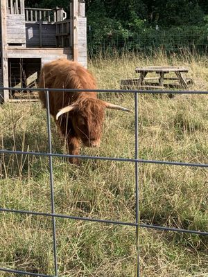 Diehl's Orchard & Cider Mill by null