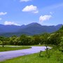 Photo of Estrada da Graciosa