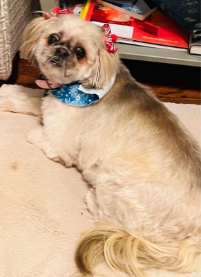 Paws 'n Claws - Erie