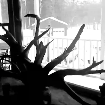 Brook Road Inn - living room view. - Guest Houses Near Me - Goshen, New Hampshire Brook Road Inn - living room view. - Guest Houses Near Me - Goshen, New Hampshire