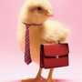 Photo of ChickenvilleUSA