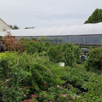 JRN Nursery 2 - Nurseries & Gardening Near Me - Houston, Texas