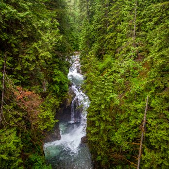 Lynn Canyon Park - Parks Near Me - North Vancouver, British Columbia