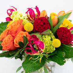 Flower Fix - Wow them with unusual blooms and lush foliage.