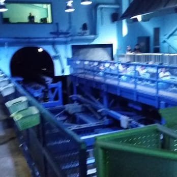 Mr Freeze: Reverse Blast - The dual loading platform. The train on the left loads while the switchtrack on the right prepares for launch! - Amusement Parks Near Me - Pacific, Missouri