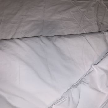 The Apple Tree Inn - black hairs on bed - Hotels Near Me - Julian, California