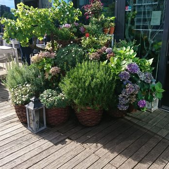 Motto am Fluss Cafe - Flower paradise - Breakfast & Brunch Near Me - Vienna, 9 Motto am Fluss Cafe - Flower paradise - Breakfast & Brunch Near Me - Vienna, 9