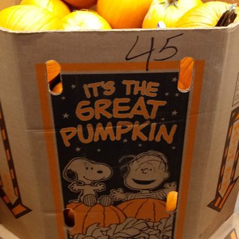 ALDI - Grocery Near Me - Beltsville, Maryland
