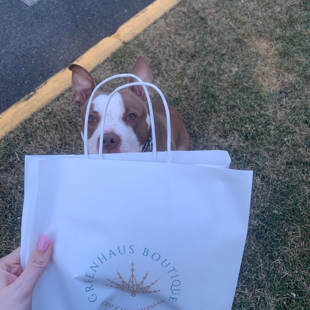 Euphoria Greenhaus - Latest purchase, my pup is excited. - Cannabis Dispensaries Near Me - Fort Lee, New Jersey Euphoria Greenhaus - Latest purchase, my pup is excited. - Cannabis Dispensaries Near Me - Fort Lee, New Jersey