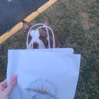 Euphoria Greenhaus  - Latest purchase, my pup is excited. - Cannabis Dispensaries Near Me - Fort Lee, New Jersey