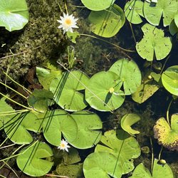 Wellington Environmental Preserve - Section 24