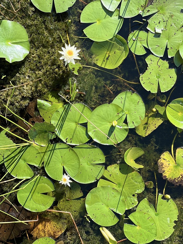 Wellington Environmental Preserve - Section 24 Image