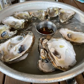 Eurasia Cafe - Oysters - New American Near Me - Virginia Beach, Virginia Eurasia Cafe - Oysters - New American Near Me - Virginia Beach, Virginia