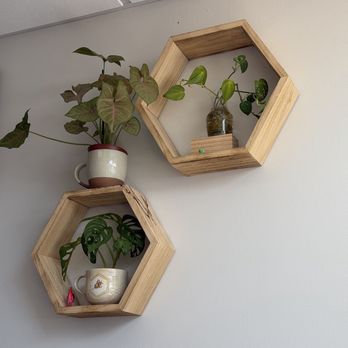 The Bees Knees Bistro - Wall planters - Cafes Near Me - Wallingford, Connecticut The Bees Knees Bistro - Wall planters - Cafes Near Me - Wallingford, Connecticut