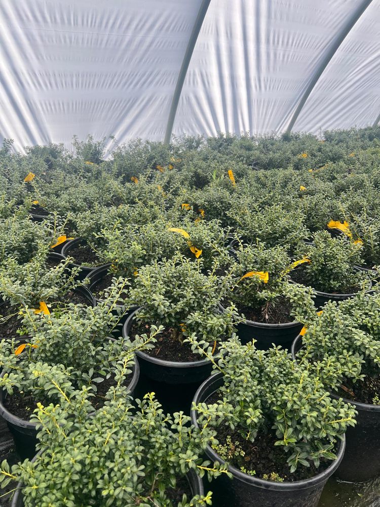 BRANDYWINE GROWERS Updated October 2024 23 Photos 4318 Danville