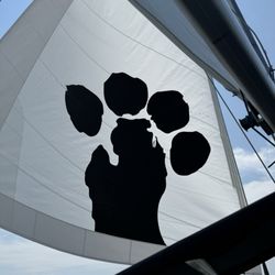 Nauti-Cat Cruises - Sailing away the afternoon on nauti cat