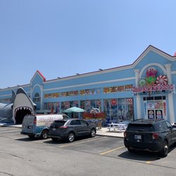 Shark Attack