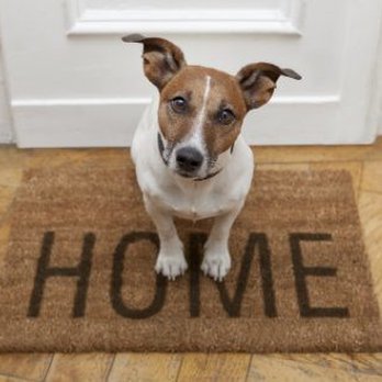 Wiessner Insurance Agency - Home & Rental Insurance Near Me - St. Paul, Minnesota Wiessner Insurance Agency - Home & Rental Insurance Near Me - St. Paul, Minnesota