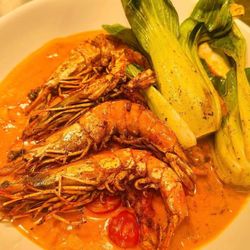 Vevetas Tapas by Pink Salt - Scotland Wild Caught Jumbo Prawns Blackened & Served in a Red Curry Coconut Reduction Accompanied by Jasmine Rice