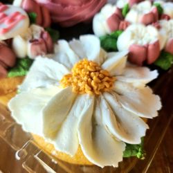 Molly's Cupcakes