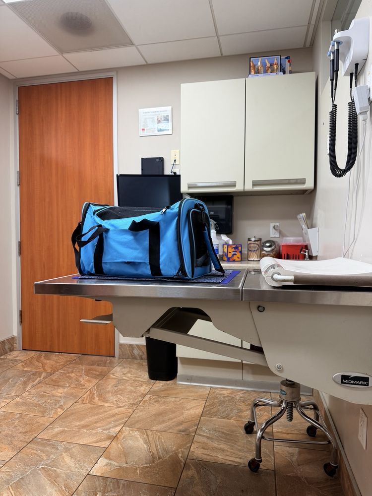 Cabrillo Pet Hospital - pet boarding facility in San Diego, CA