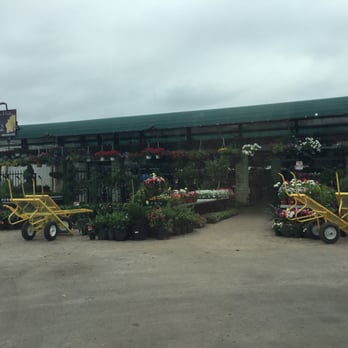 Ruibal's Plants of Texas - Literally overflowing with flowers. - Nurseries & Gardening Near Me - Dallas, Texas Ruibal's Plants of Texas - Literally overflowing with flowers. - Nurseries & Gardening Near Me - Dallas, Texas