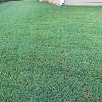 TruGreen Lawn Care - Tree Services Near Me - Birmingham, Alabama TruGreen Lawn Care - Tree Services Near Me - Birmingham, Alabama