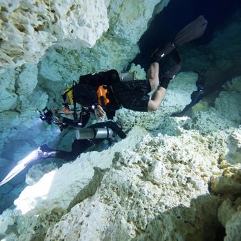 Phocea Mexico - Scuba Diving Near Me - Playa del Carmen, ROO
