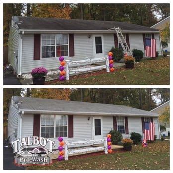 Talbot ProWash - Roof cleaning in Easton Md. We can safely remove black algae stains with same day results. - Window Washing Near Me - Denton, Maryland Talbot ProWash - Roof cleaning in Easton Md. We can safely remove black algae stains with same day results. - Window Washing Near Me - Denton, Maryland