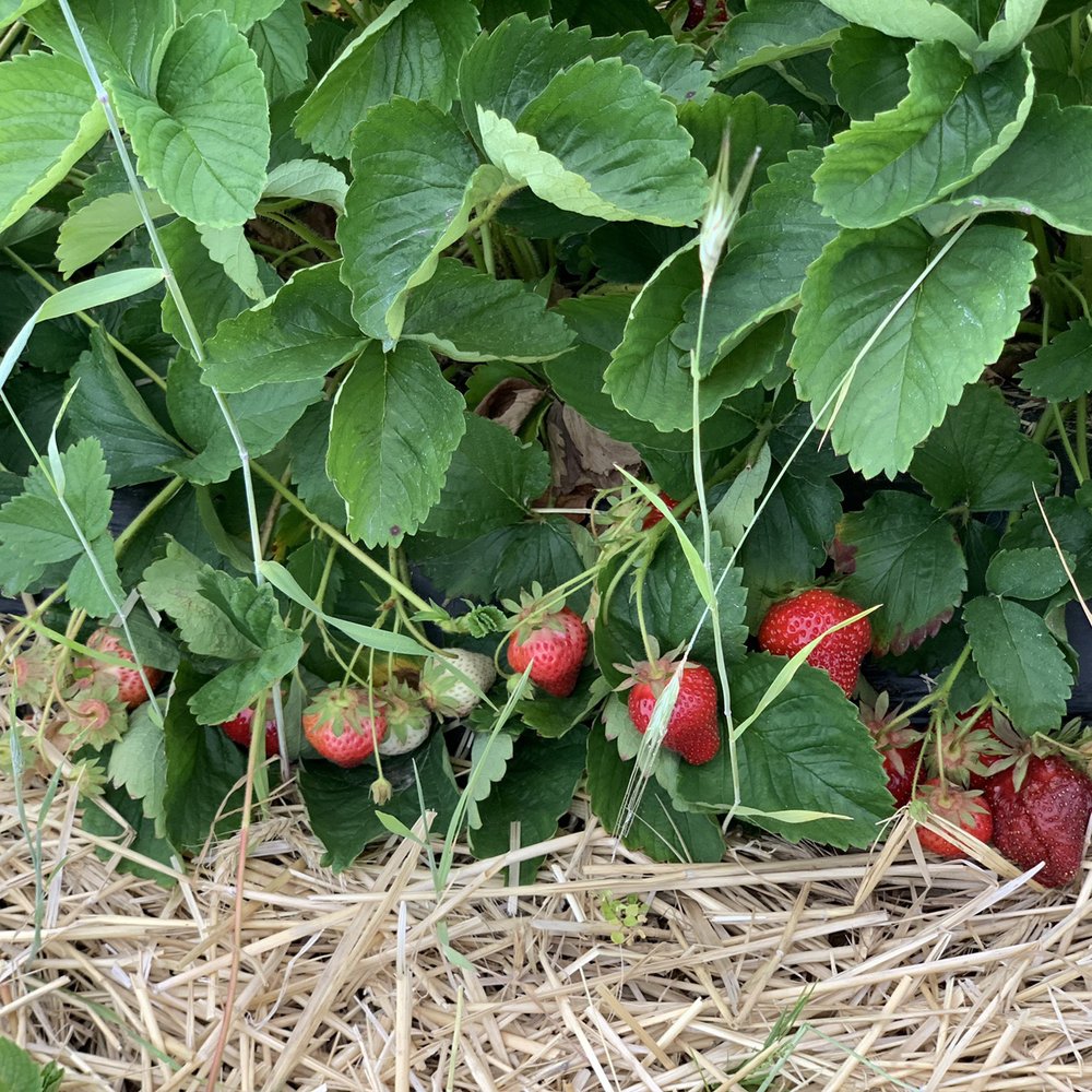 Donaldson Farms - Fruits & Veggies Near Me - Hackettstown, New Jersey