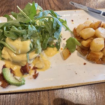First Watch - Breakfast & Brunch Near Me - Lakeland, Florida First Watch - Breakfast & Brunch Near Me - Lakeland, Florida