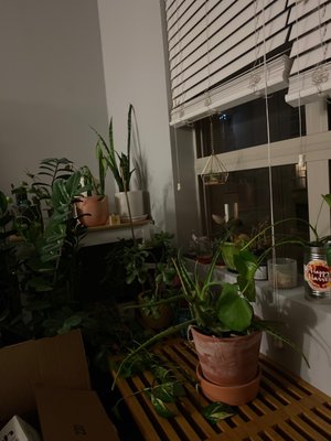 Jia Apartments by null