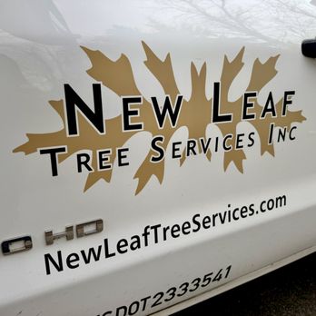 New Leaf Tree Services - Tree Services Near Me - Hudson, New York New Leaf Tree Services - Tree Services Near Me - Hudson, New York