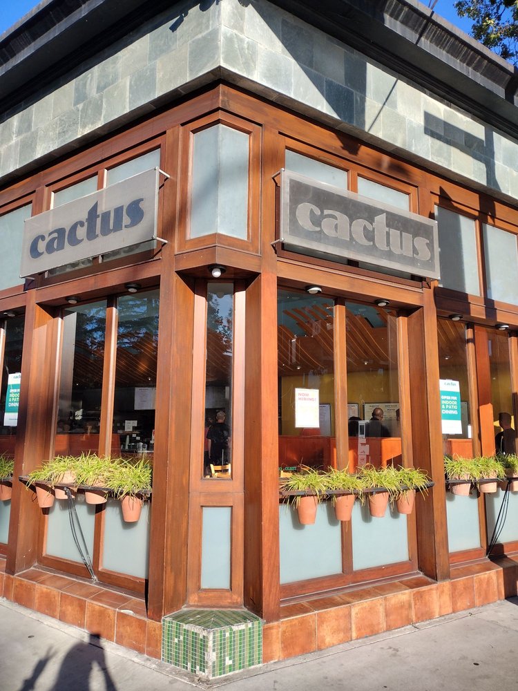 Cactus Taqueria