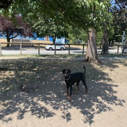 Sunset Dog Park