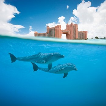 Concierge Realty - Vacation Rental Agents Near Me - Winter Garden, Florida Concierge Realty - Vacation Rental Agents Near Me - Winter Garden, Florida