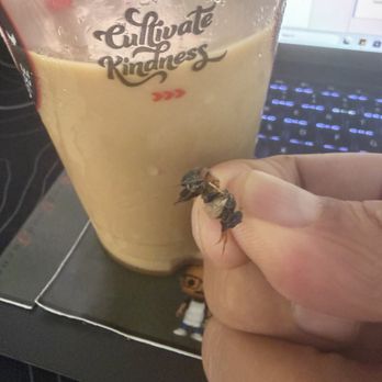 7 Brew Coffee - yuck!! - Coffee & Tea Near Me - Virginia Beach, Virginia