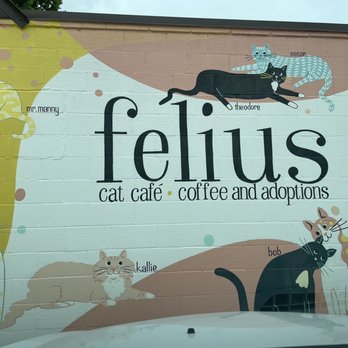 Felius Cat Café & Rescue - Sign outside the building - Pet Adoption Near Me - Omaha, Nebraska Felius Cat Café & Rescue - Sign outside the building - Pet Adoption Near Me - Omaha, Nebraska