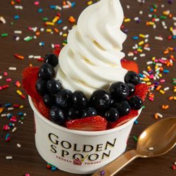 Golden Spoon - Old Fashioned Vanilla with Fresh Fruit - Golden Spoon Mission Viejo