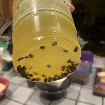 BMC Pho - Peach lemonade - Vietnamese Near Me - Covina, California BMC Pho - Peach lemonade - Vietnamese Near Me - Covina, California