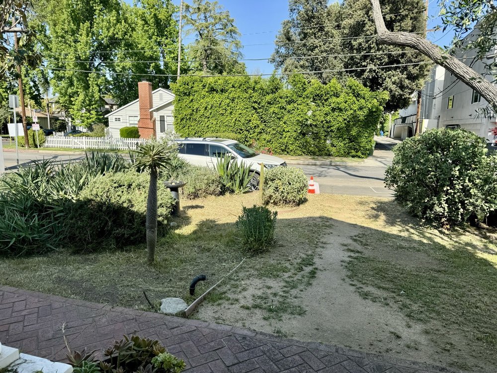 Cedar Lake Gardening Services - tree service in Los Angeles, CA