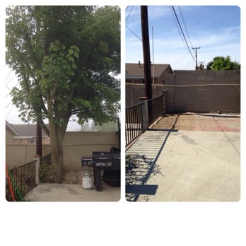 Jimmie's Tree Service - Before and after - Tree Services Near Me Jimmie's Tree Service - Before and after - Tree Services Near Me