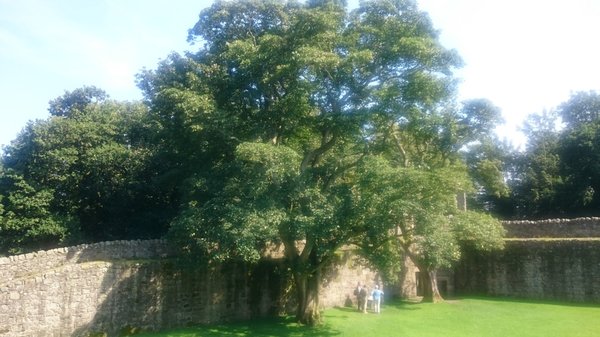 Lochleven Castle by null