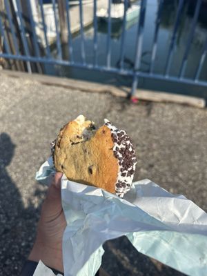 Captain Sam's Ice Cream by null