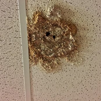 Garrison Square - Something festering in the ceiling of the garage. - Apartments Near Me - Boston, Massachusetts