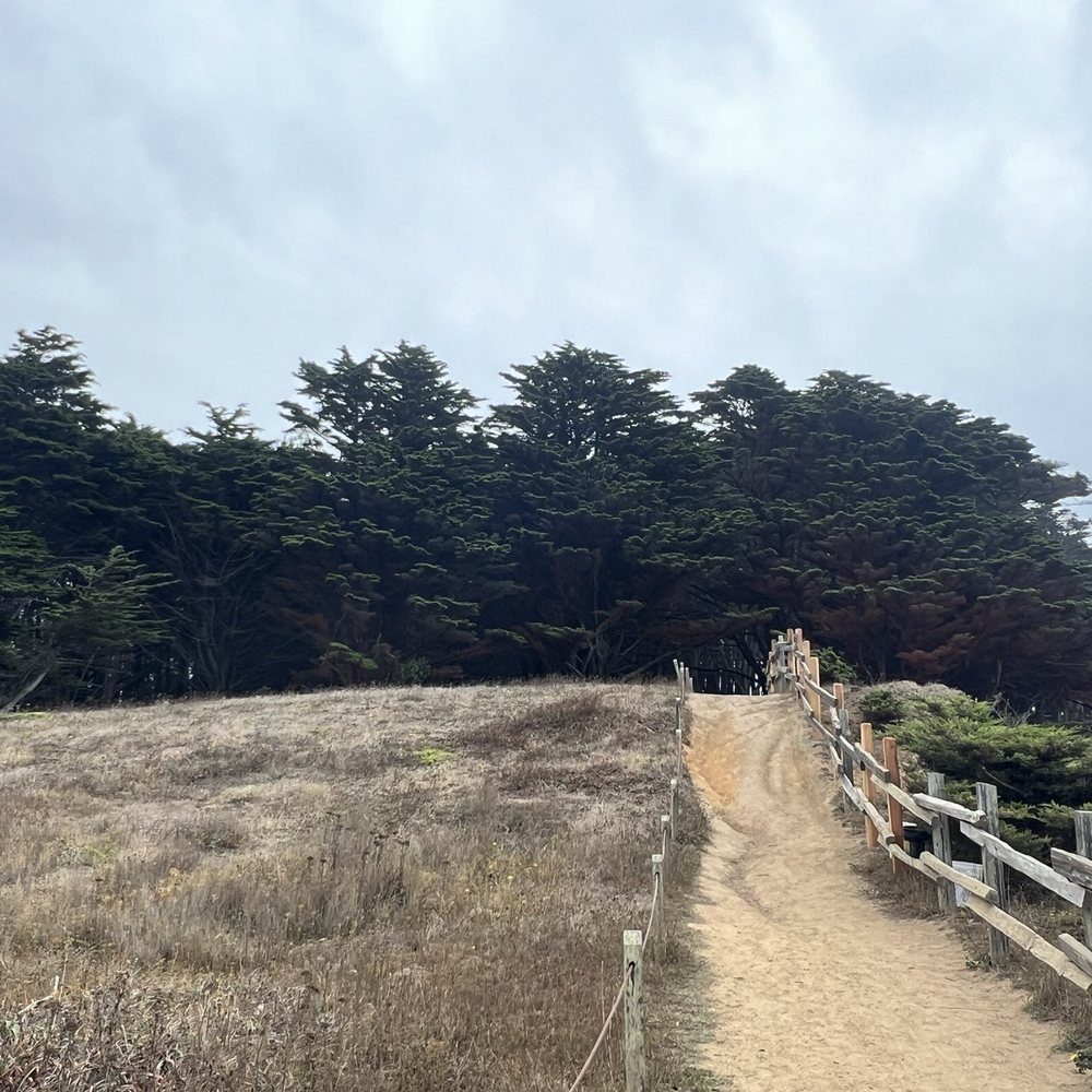 Fitzgerald Marine Reserve - Parks Near Me - Moss Beach, California