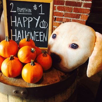 Bow Wow Beer Bash - Halloween Pumpkins! - Community Service/Non-Profit Near Me - San Diego, California Bow Wow Beer Bash - Halloween Pumpkins! - Community Service/Non-Profit Near Me - San Diego, California