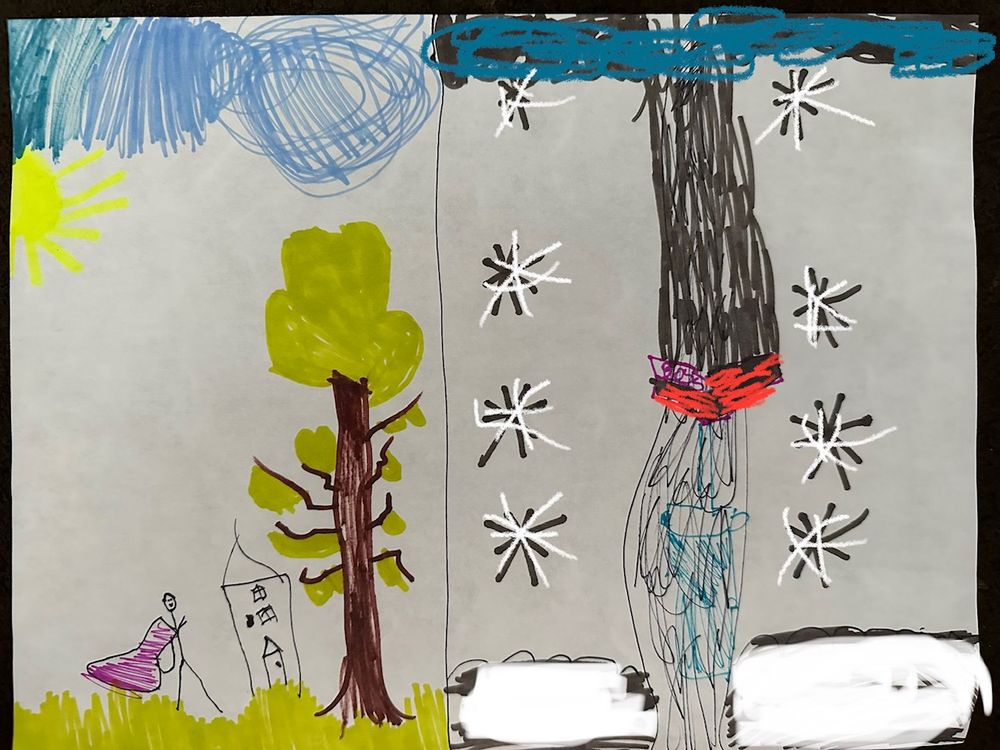 BLUE SKYS LANDSCAPING AND SNOW REMOVAL Theresa, New York